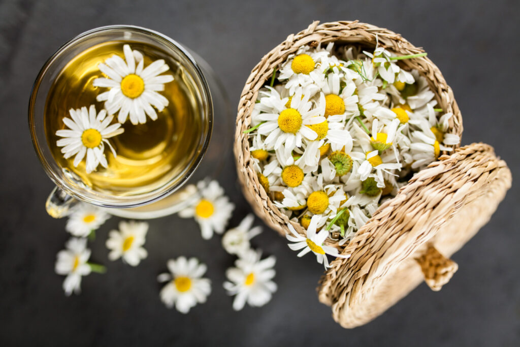 Chamomile flowers in a basket next to a cup of Chamomile Tea.