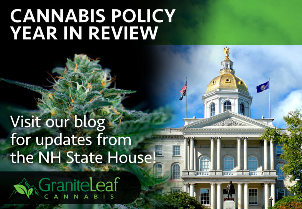 Cannabis Policy Year in Review 2023