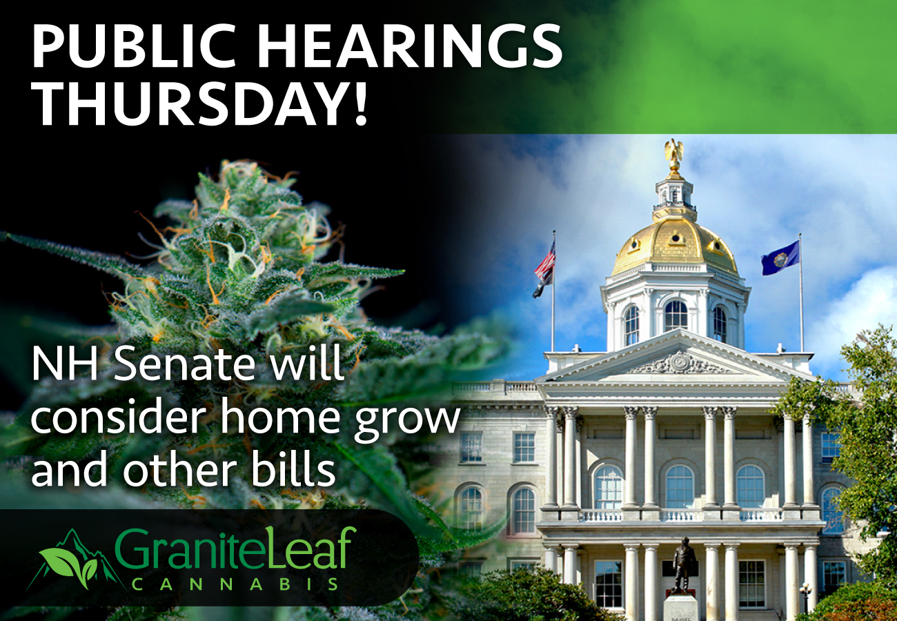 Public hearings on therapeutic cannabis bills Thursday, including home grow