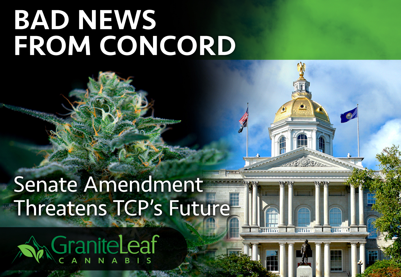 Bad News from Concord, Senate Amendment Threatens TCP's Future GraniteLeaf Cannabis