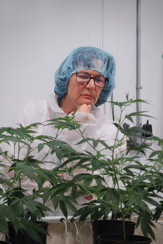 Rep. Suzanna Vail inspects cannabis plants.