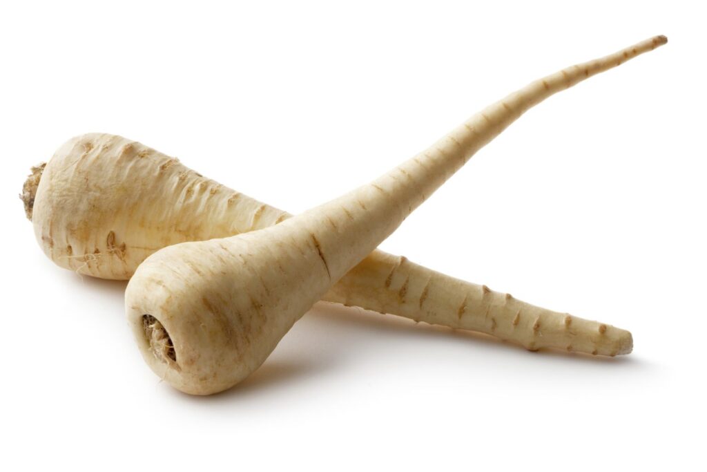 Two cream colored parsnips with a white background