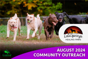 August 2024 Community Outreach ColdSprings Healing Paws