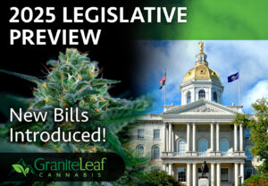 2025 Legislative Preview, New Bills Introduced