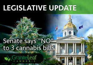 Senate says "NO" to 3 cannabis bills
