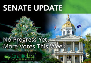 No Progress Yet in Senate, More Votes This Week