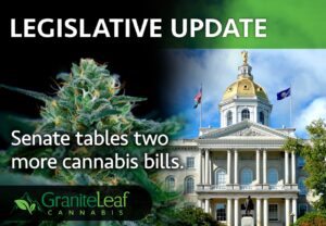 Senate tables two medical cannabis bills