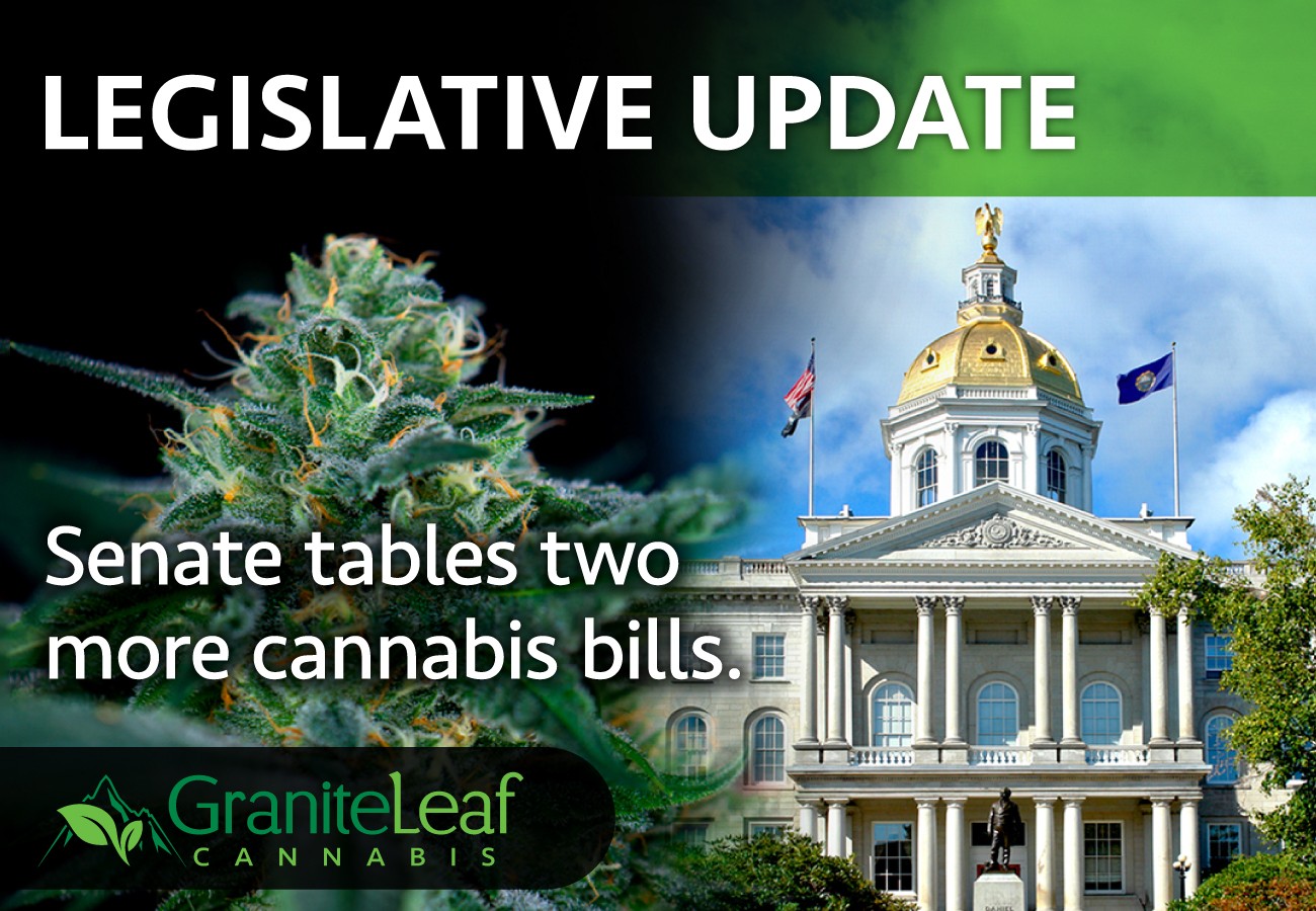 Senate tables two medical cannabis bills