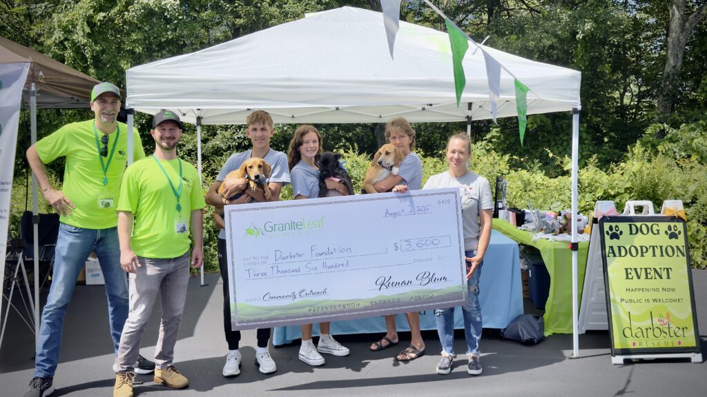 Darbster Foundation photo