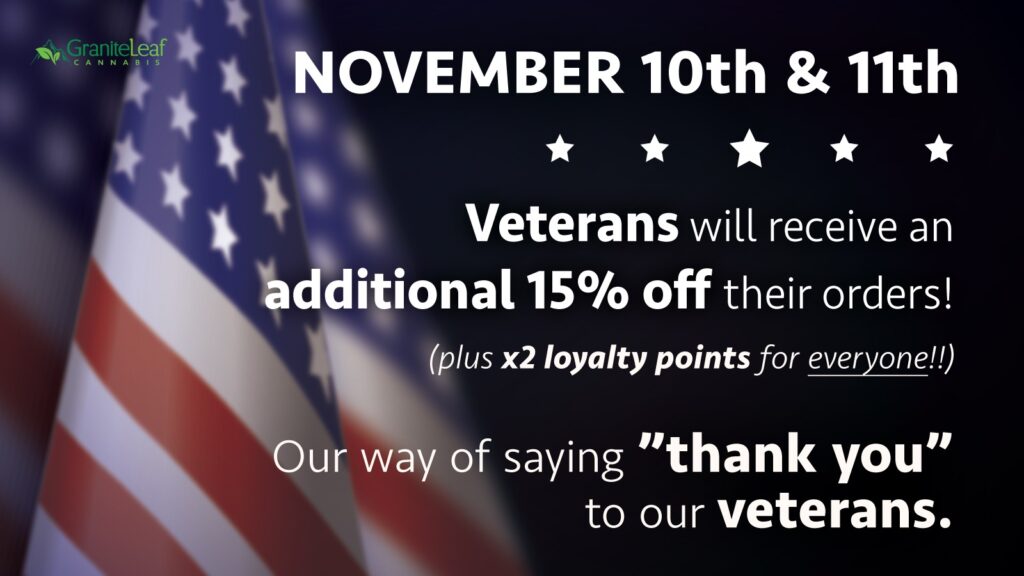 Veterans Day Sale 2025