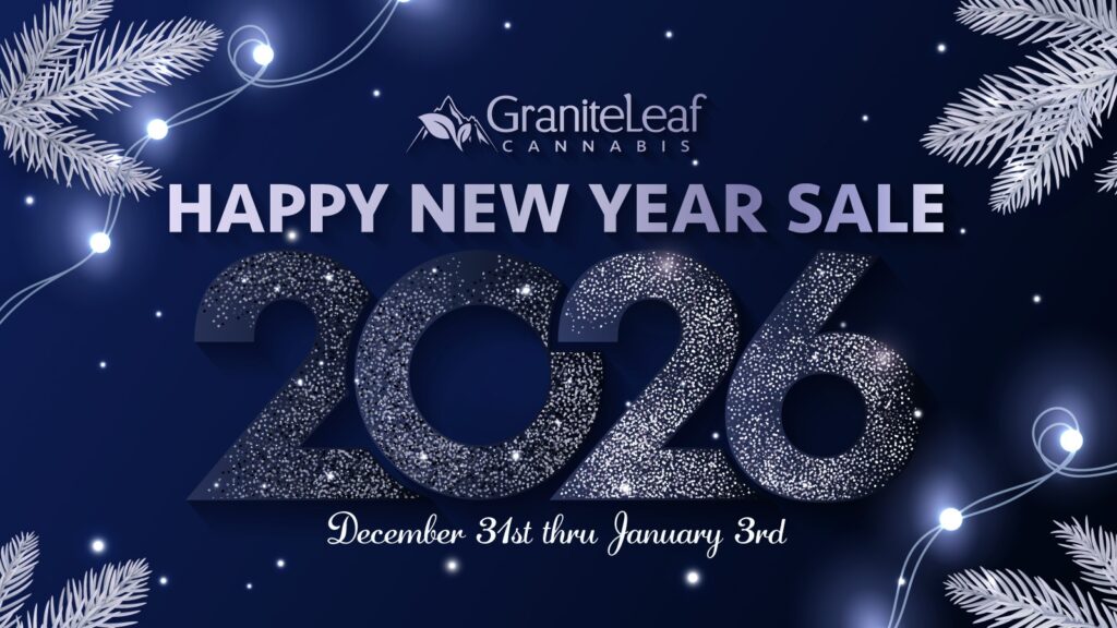 Happy New Year Sale 2026