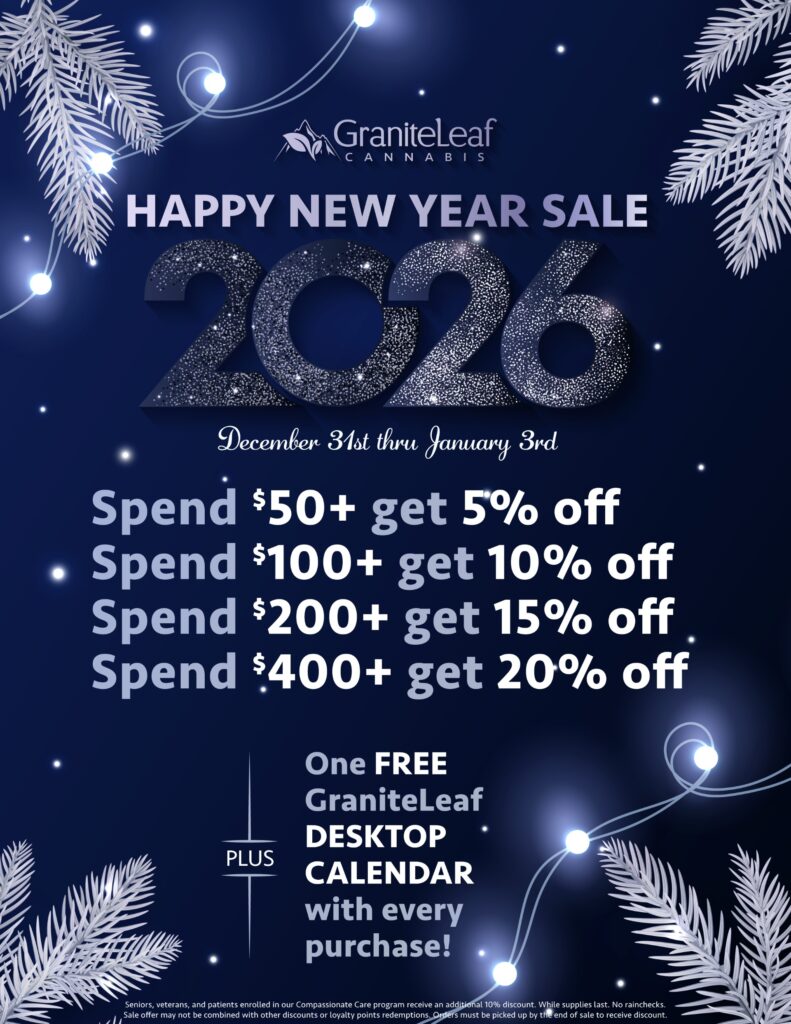 Happy New Year 2026 Sale Flyer