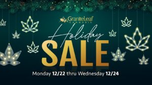 2025 Holiday Sale graphic