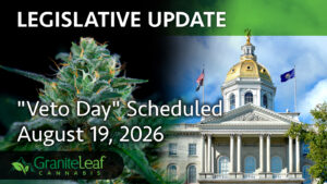 "Veto Day" scheduled August 19